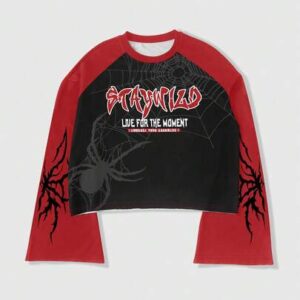 Street Life Men's Casual Spider Print Colorblock T-Shirt, Autumn, Long Sleeve Top